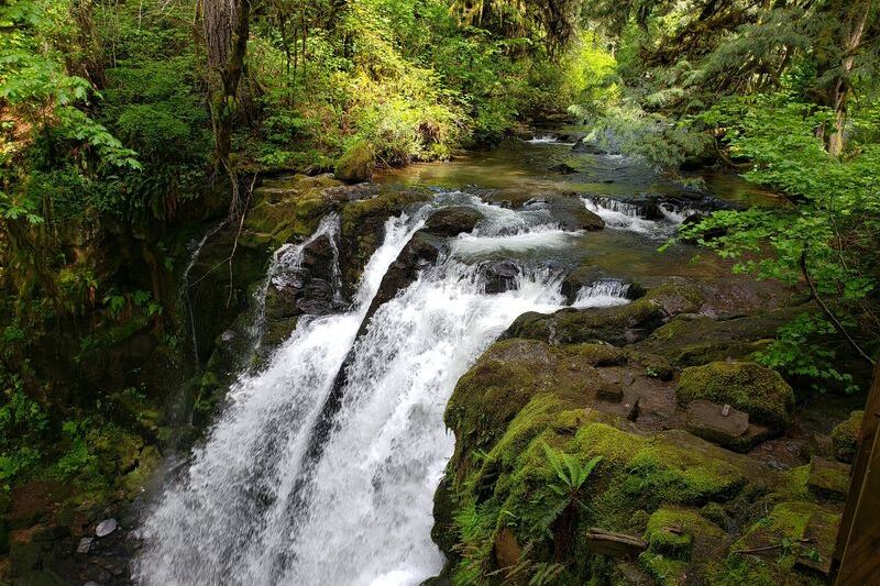 Four Waterfalls Crash Beside You on This Short Oregon Loop That Takes Under an Hour