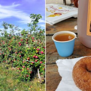 12 Massachusetts Orchards Where You Pick Your Own Apples And Head Home With Warm Cider Donuts