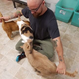 Hundreds of Rescued Cats Roam Freely Across 16 Cage-Free Acres in North Carolina