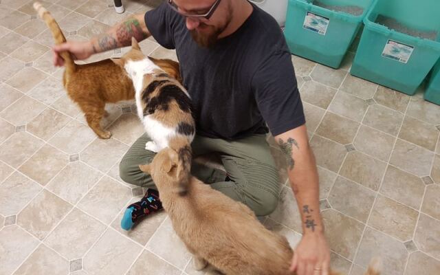 Hundreds of Rescued Cats Roam Freely Across 16 Cage-Free Acres in North Carolina