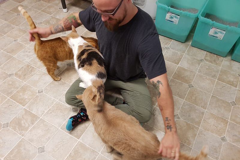 Hundreds of Rescued Cats Roam Freely Across 16 Cage-Free Acres in North Carolina