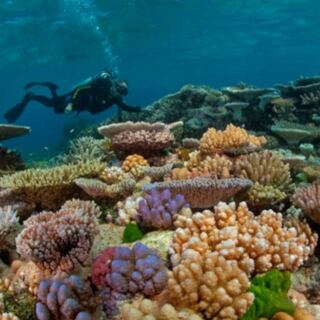 15 of the World’s Best Places to Go Scuba Diving