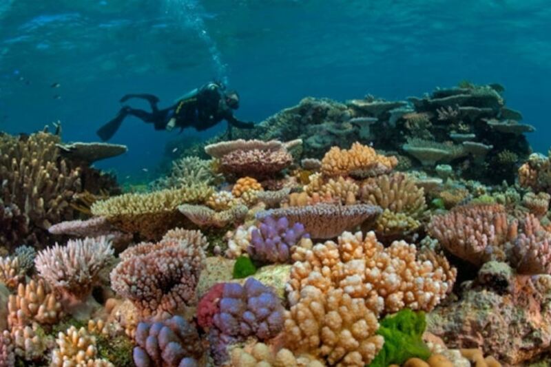 15 of the World’s Best Places to Go Scuba Diving