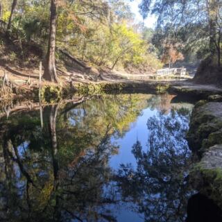 This Tiny Florida State Park Hides 72-Degree Springs, River Cabins, and Almost No Crowds