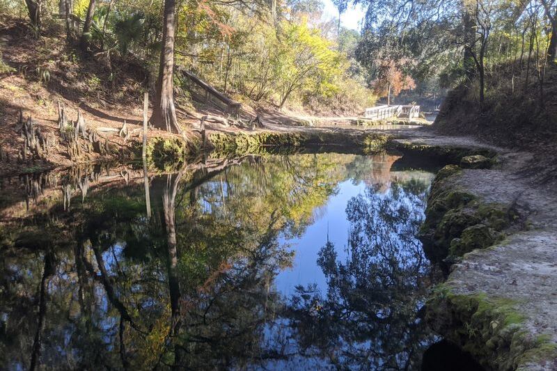 This Tiny Florida State Park Hides 72-Degree Springs, River Cabins, and Almost No Crowds
