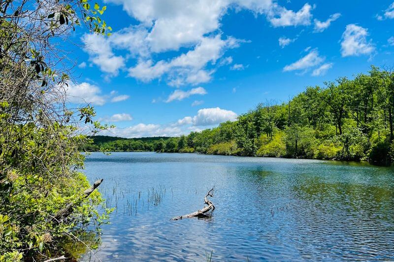 This New Jersey Trail Saves a Quiet Highland Lake for After the Waterfalls