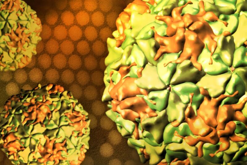 15 of the Deadliest Diseases Humanity Has Ever Faced