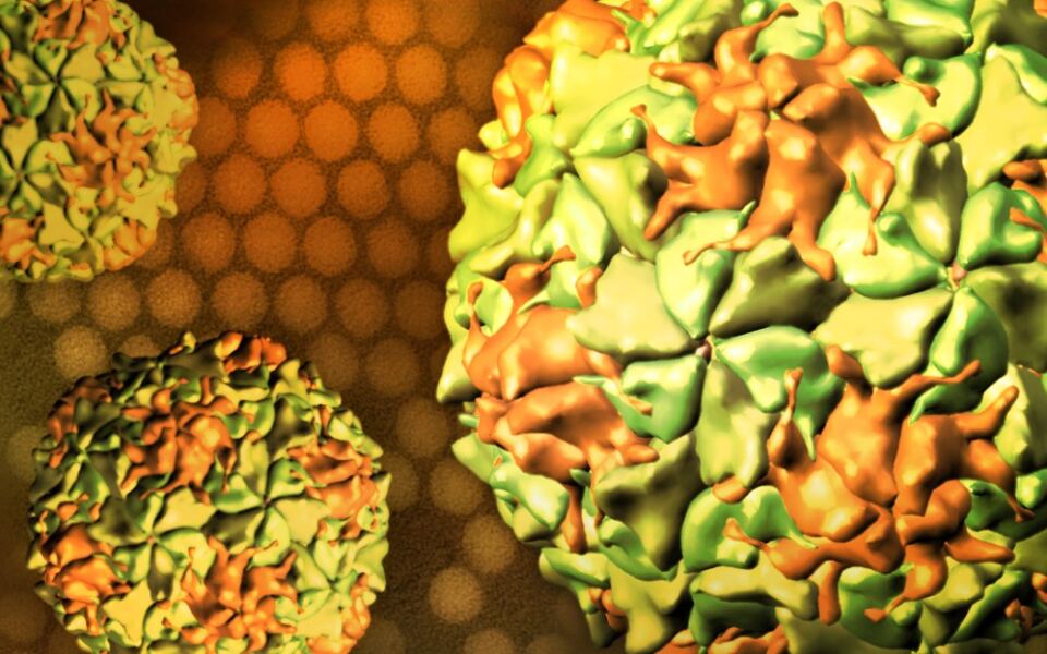 15 of the Deadliest Diseases Humanity Has Ever Faced