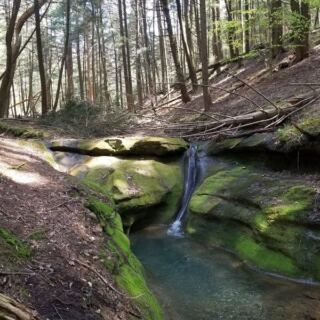 This Ohio Outfitter Lets You Rappel Straight Down Into A Hidden Hocking Hills Gorge
