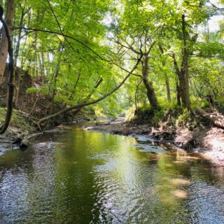 This New Jersey Preserve Has a Creek Where You Sift for Fossil Shark Teeth