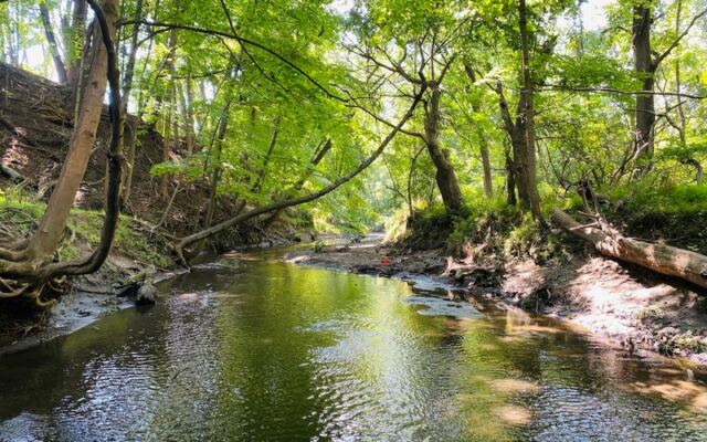 This New Jersey Preserve Has a Creek Where You Sift for Fossil Shark Teeth