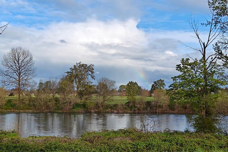 Oregon Just Landed Near the Bottom of the Best States to Move To, and Locals Have Thoughts