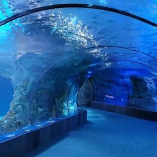 15 U.S. Attractions That Families Might Enjoy More Than The Famous Theme Parks