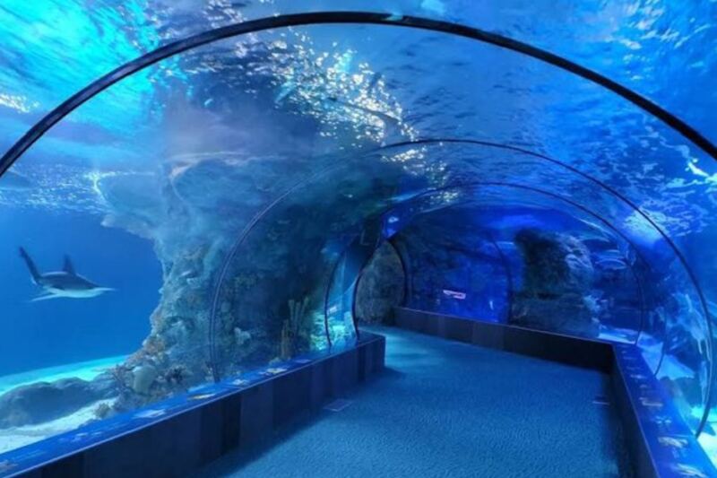 15 U.S. Attractions That Families Might Enjoy More Than The Famous Theme Parks