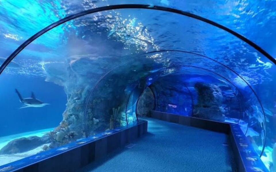 15 U.S. Attractions That Families Might Enjoy More Than The Famous Theme Parks