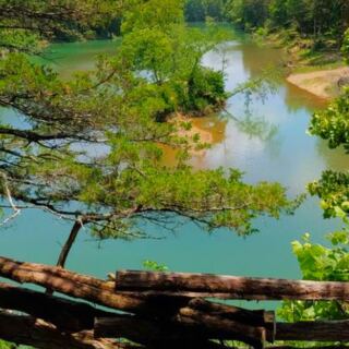 This Massive Arkansas Nature Preserve Features Forest Trails, Wildlife, and Lake Views