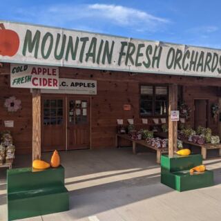 This Hendersonville Orchard Is Worth The Drive For Its Hot, Fresh-Made Apple Cider Donuts