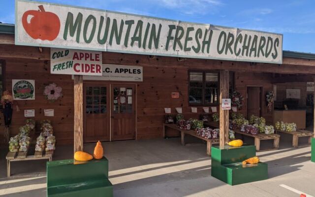 This Hendersonville Orchard Is Worth The Drive For Its Hot, Fresh-Made Apple Cider Donuts
