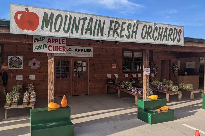 This Hendersonville Orchard Is Worth The Drive For Its Hot, Fresh-Made Apple Cider Donuts