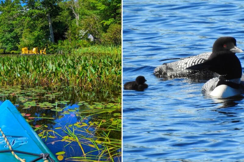 This Small New Hampshire State Park Is Quiet, Scenic, and Perfect for Escaping the Crowds