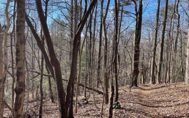 An Abandoned North Carolina Railroad Is Turning Into A Mountain Trail Past Old Tunnels And Trestles