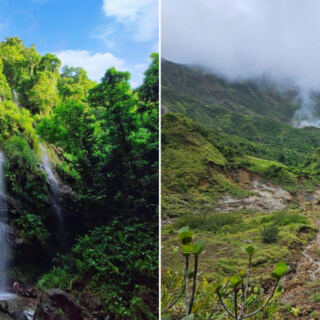 The Caribbean Isn’t Just Beaches, And These 13 Rainforest Adventures Prove It