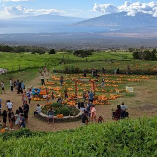This Family-Run Hawaii Farm Stand Draws Food Lovers For Kula Strawberries, Fresh-Baked Banana Bread, And Ocean-View Picnics