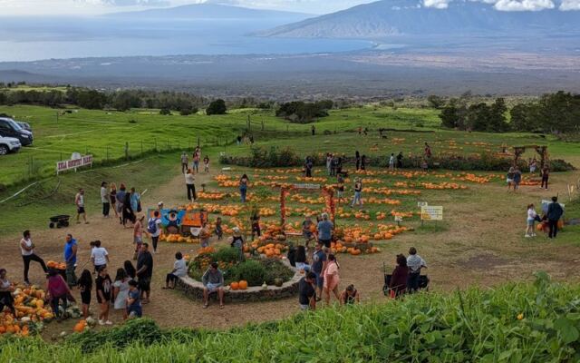 This Family-Run Hawaii Farm Stand Draws Food Lovers For Kula Strawberries, Fresh-Baked Banana Bread, And Ocean-View Picnics