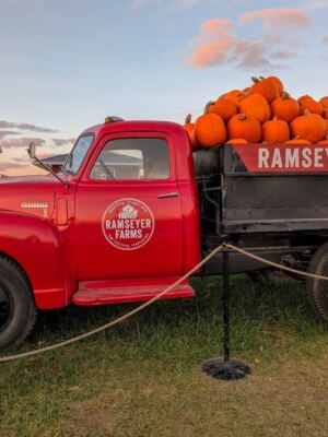 12 Ohio Pumpkin Farms Where You Wander Into A Full Fall Day