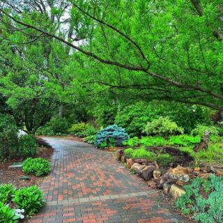 This Peaceful Stillwater Botanic Garden Near Oklahoma State Has Winding Walking Trails And Big Shady Trees, Free To Explore