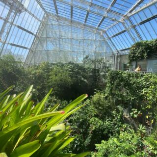 This Urban Cleveland Garden Hides A Butterfly Glasshouse And A Calming Forest Right In The City