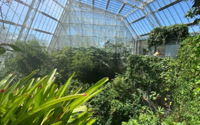 This Urban Cleveland Garden Hides A Butterfly Glasshouse And A Calming Forest Right In The City