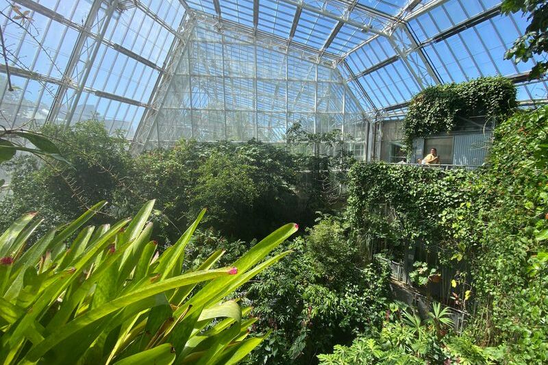 This Urban Cleveland Garden Hides A Butterfly Glasshouse And A Calming Forest Right In The City