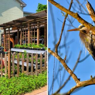 This Pittsburgh Nature Reserve Has 134 Acres of Free Trails and Birds