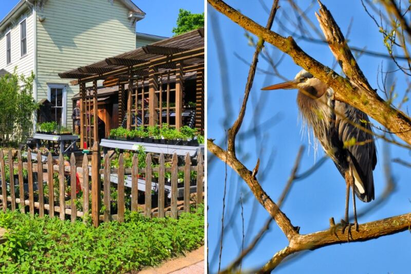 This Pittsburgh Nature Reserve Has 134 Acres of Free Trails and Birds