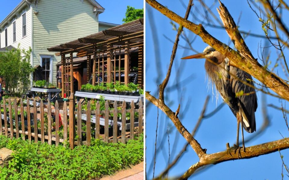 This Pittsburgh Nature Reserve Has 134 Acres of Free Trails and Birds