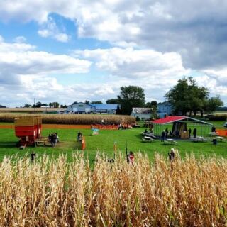 This Ohio Farm Turns September Weekends Into Corn Mazes, Sunflower Rows, And Hayride Afternoons