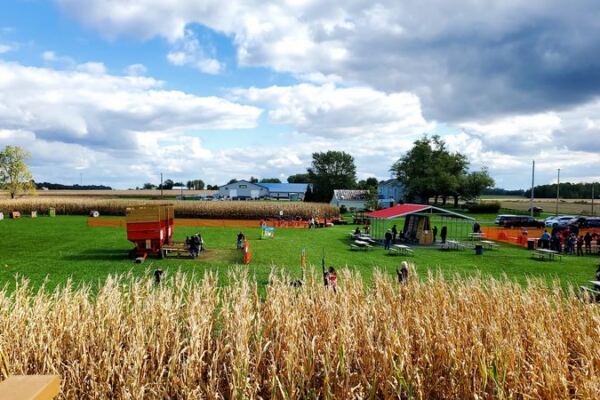 This Ohio Farm Turns September Weekends Into Corn Mazes, Sunflower Rows, And Hayride Afternoons