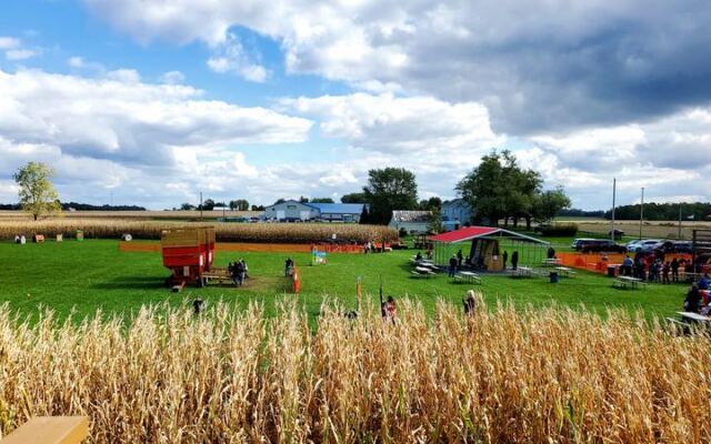 This Ohio Farm Turns September Weekends Into Corn Mazes, Sunflower Rows, And Hayride Afternoons