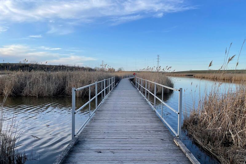 10 New Jersey Boardwalks And Riverwalks Where Fall Views Come Without A Hike