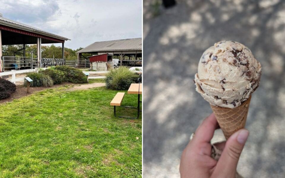 This Rhode Island Dairy Farm Turns Fresh Milk Into Some Of New England’s Best Ice Cream