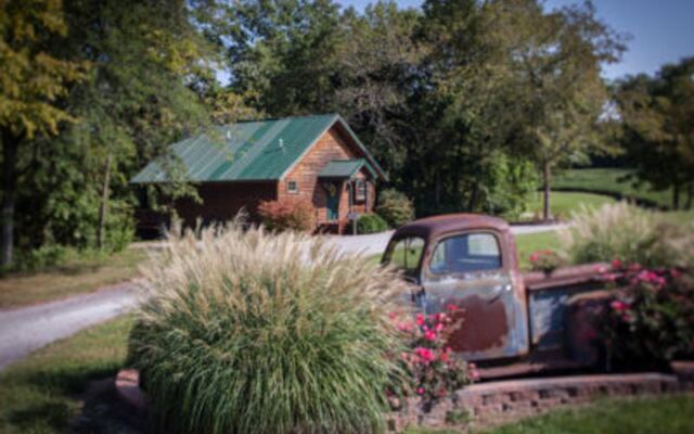 This Secluded Southern Illinois Cabin Has a Cozy Fireplace and a Pond View You Can Watch From Bed