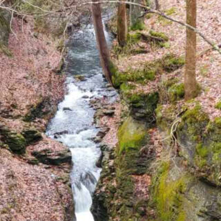 This Yellow Springs Nature Preserve Guards Untouched Woods and a Limestone Gorge Carved by the Little Miami River