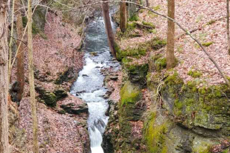 This Yellow Springs Nature Preserve Guards Untouched Woods and a Limestone Gorge Carved by the Little Miami River