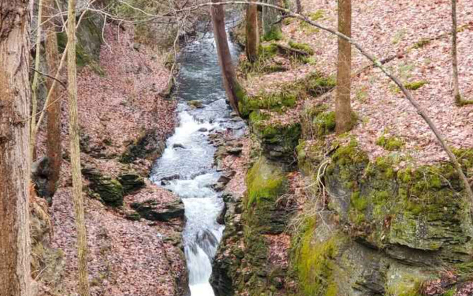 This Yellow Springs Nature Preserve Guards Untouched Woods and a Limestone Gorge Carved by the Little Miami River