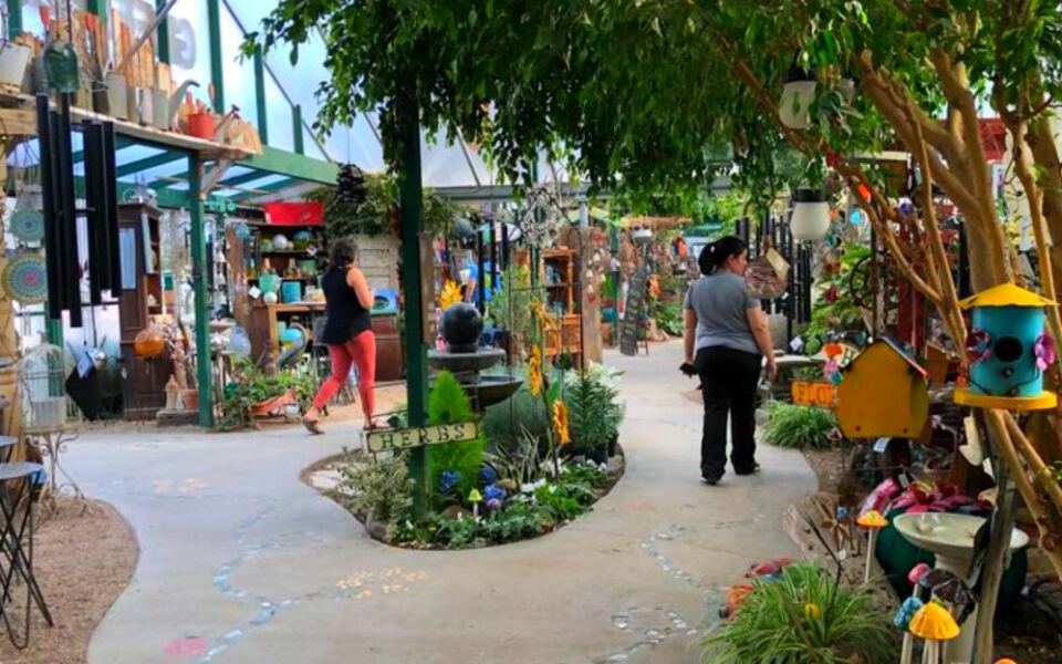 This Boise Greenhouse Is a Favorite Destination for Plants, Flowers, and Garden Inspiration