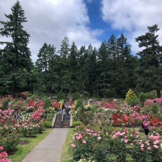 This Oregon Garden Grows More Than 2,000 Roses and Has Been Blooming Since 1917