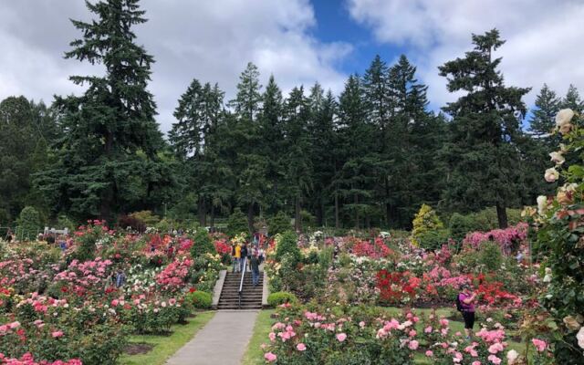 This Oregon Garden Grows More Than 2,000 Roses and Has Been Blooming Since 1917