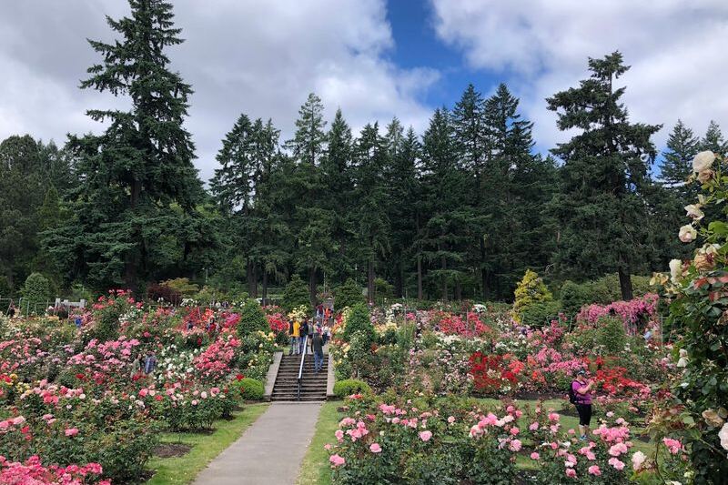 This Oregon Garden Grows More Than 2,000 Roses and Has Been Blooming Since 1917