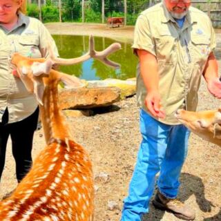 This Family Favorite Is Packed With Giraffes, Bears, Big Cats, and Hands-On Animal Encounters